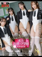 【8K】私立ハイレグ学園 性処理学科 ～クラスメイト同士で性器を触りあい。真剣に性処理を学ぶVR～ 小野坂ゆいか、広瀬なるみ、湊波流、雨宮ひびきの作品画像